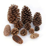 Natural Pine Nuts Fruit Dried Artificial Flower Pine Cones for Home Wedding...