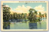 Vintage Postcard POSTED Moss-Covered Cypress trees and Water Lilies in Florida