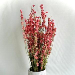 Pink Dried Flowers, Real Pink Larkspur, Field Dry Floral, Beautiful Bouquet, Home Decor, Garden Blooms, Natural Everlasting Flowers