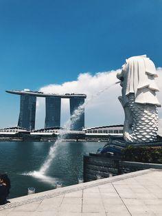 The Ultimate Guide to Backpacking in Singapore - Unexpected Occurrence Flower Delivery