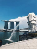 The Ultimate Guide to Backpacking in Singapore - Unexpected Occurrence Flower Delivery
