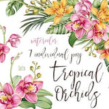 Watercolor orchids individual clipart.  Bouquet, wreath, frame clip art. Tropical yellow, pink flowers and leaves clipart.