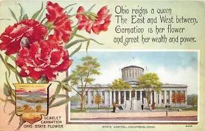 Columbus Ohio 1911 Postcard State Capitol & Carnation Flower