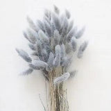 60PCS Rabbit Tail Grass Dried Flowers Dried Natural Floral Arrangement Bunch