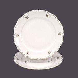 Pair of Walbrzych luncheon or small dinner plates made in Poland. Golden floral bouquet, embossed rim. Flaw (see below).