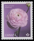 Canada 3372b Ranunculus White 'P' single (1 stamp from sheet) MNH 2023
