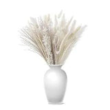 95 Stems White Natural Dried Floral Pampas Grass Premium White Home Decor