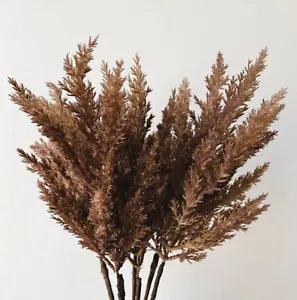 DRIED PAMPAS GRASS AUSTRALIAN NATVE FLOWERS PRESERVED LOOK DIY ARRANGEMENY BROWN