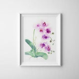 Flowers Orchid Watercolor Painting Wall Art Prints