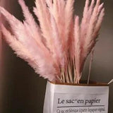 Natural Dried Flowers Artificial Plant Branch Pampas Grass Phragmites Fake Flowe