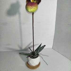 BURGUNDY Mini Artificial Paphiopedilum Lady Slipper Orchid On Disc. Silk Flowers