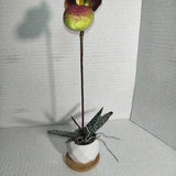 BURGUNDY Mini Artificial Paphiopedilum Lady Slipper Orchid On Disc. Silk Flowers
