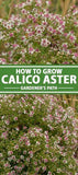 How to Grow and Care for Calico Aster | Gardener??s Path Flower Delivery