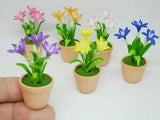 1 pc Miniature Rain Lily Flower in Terracotta Pot Handmade Dollhouse