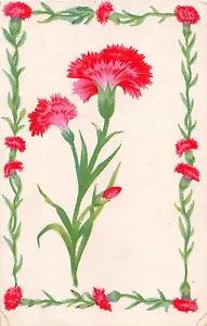Pretty Pink & Red Carnations on Old Postcard - H. Co. No. 20