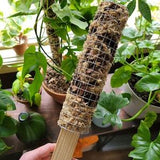 Handmade Moss Pole