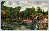 Lily Pond, Belle Isle, Detroit, Michigan, Antique 1910 Postcard