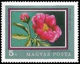 HUNGARY - 1971 - Exotic Flower - Romanian Peony - MNH - Scott #2096