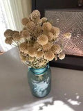 Creamy Off White Dried GLOBE AMARANTH Bunch BOUQUET Bundle