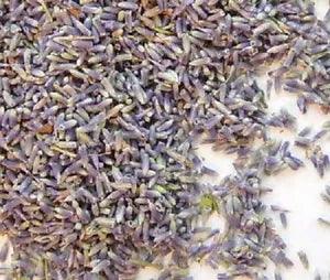 Whole Dried Lavender Bud Flowers 8 ounces #1 quality Atlantic Spice