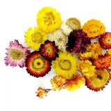 30g Colourful Chrysanthemum Dried Flower DIY Candle Material Homemade...