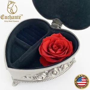 REAL Preserved Eternity Forever Rose Iron Box Birthday Mother's Day Unique Gift
