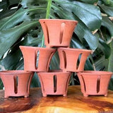 Mini Small Unglazed Red Clay Terracotta Orchid Planter Pot with Holes