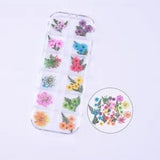 40PCS Real Pressed Dry Mixed flowers leaves collection for craft FCD504 #7