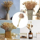 30Pcs Rabbit Tail Grass Bunny Tails Dried Flowers Lagurus Stem Ovatus Plant J1W5