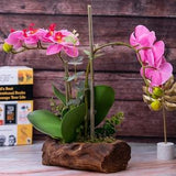 Artificial Orchid Plant, Velvet Touch, With Wooden Like Planter, Indoor Fake Plant