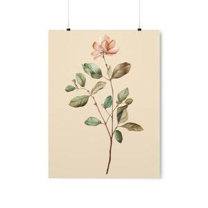 Peach Orchid Flower Premium Wall Art, Minimalist Print on Matte Paper