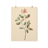 Peach Orchid Flower Premium Wall Art, Minimalist Print on Matte Paper