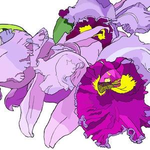 Orchid Cluster