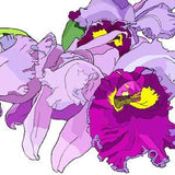 Orchid Cluster