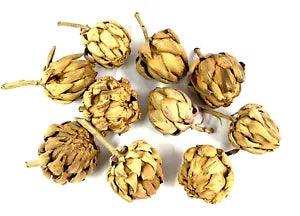 Dried Artichokes 4" x 2" Tabletop Decor Crafts Thanksgiving Autumn Christmas 10