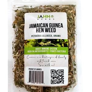 Jamaican Guinea Hen, Anamu Tea, Wildcrafted