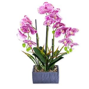 Artificial Orchid Plant, With Cement Like Rustic Planter, Indoor Fake Plant