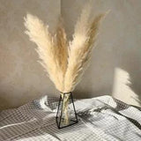 Pampas Grass Decor Extra Large Natural Dried Flowers Bouquet Wedding Flower 55cm