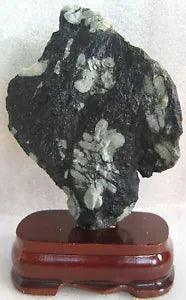 NEW LISTINGUnique SUISEKI PEONY STONE BONSAI~~BLOSSOM FLOWER FAN VIEW