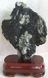 NEW LISTINGUnique SUISEKI PEONY STONE BONSAI~~BLOSSOM FLOWER FAN VIEW