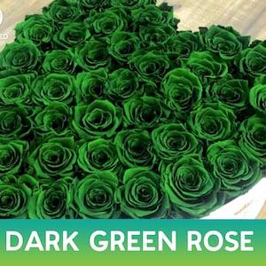 Dark Green Rose Seeds