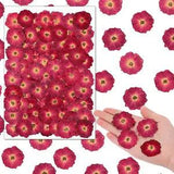 NEW LISTING100 Pcs Red Rose Dried Pressed Flowers Small Dry Flowers Real Natural Resin Fill
