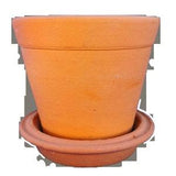 Clay pot with saucer 9 cm for orchids etc plant plant pot
