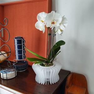 CORSET (small)-Orchid Planter-Succulent Planter-Small Size-Indoor-Outdoor-Hanging-Orchid Basket