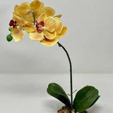 Home Decor 14" 1-stem Peach Orange PHALAENOPSIS ORCHID Soft Silk plant, Stone base