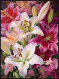 Pink and White Lilies - Chart Counted Cross Stitch Patterns Needlework DIY DMC