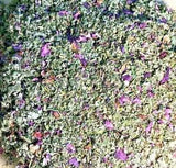 No.6 Blend - Skullcap Wild Lettuce Lotus Passionflower +More Herbs! - oz 1 Ounce
