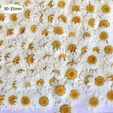 108Pcs Real Natural Dried Pressed Flowers For Resin Jewelry Nail Stickers Crafts
