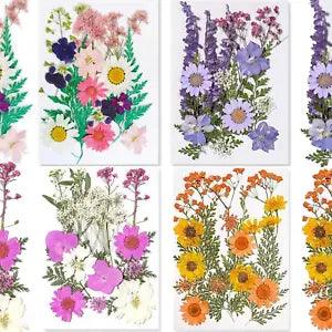 Pressed Flowers, Dried Pressed Flower for Resin Mold Real Pressed Flowers Dry Le
