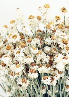 Shop All Artificial Flowers and Vases at Afloral.com Flower Delivery